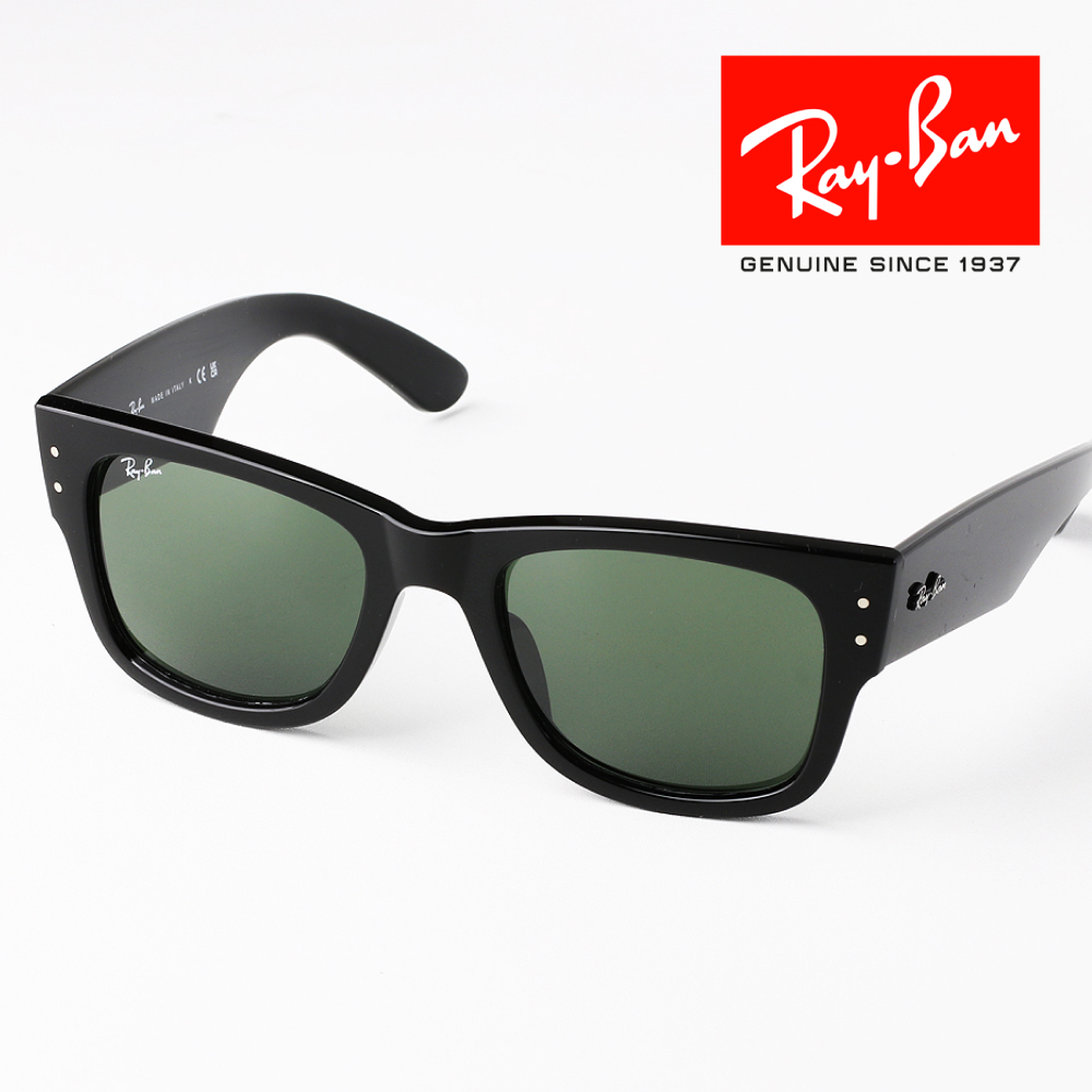 레이밴 볼드 템플 메가 선글라스 RB2289 RB0316S RB0840SF RB4454F 이미지 6