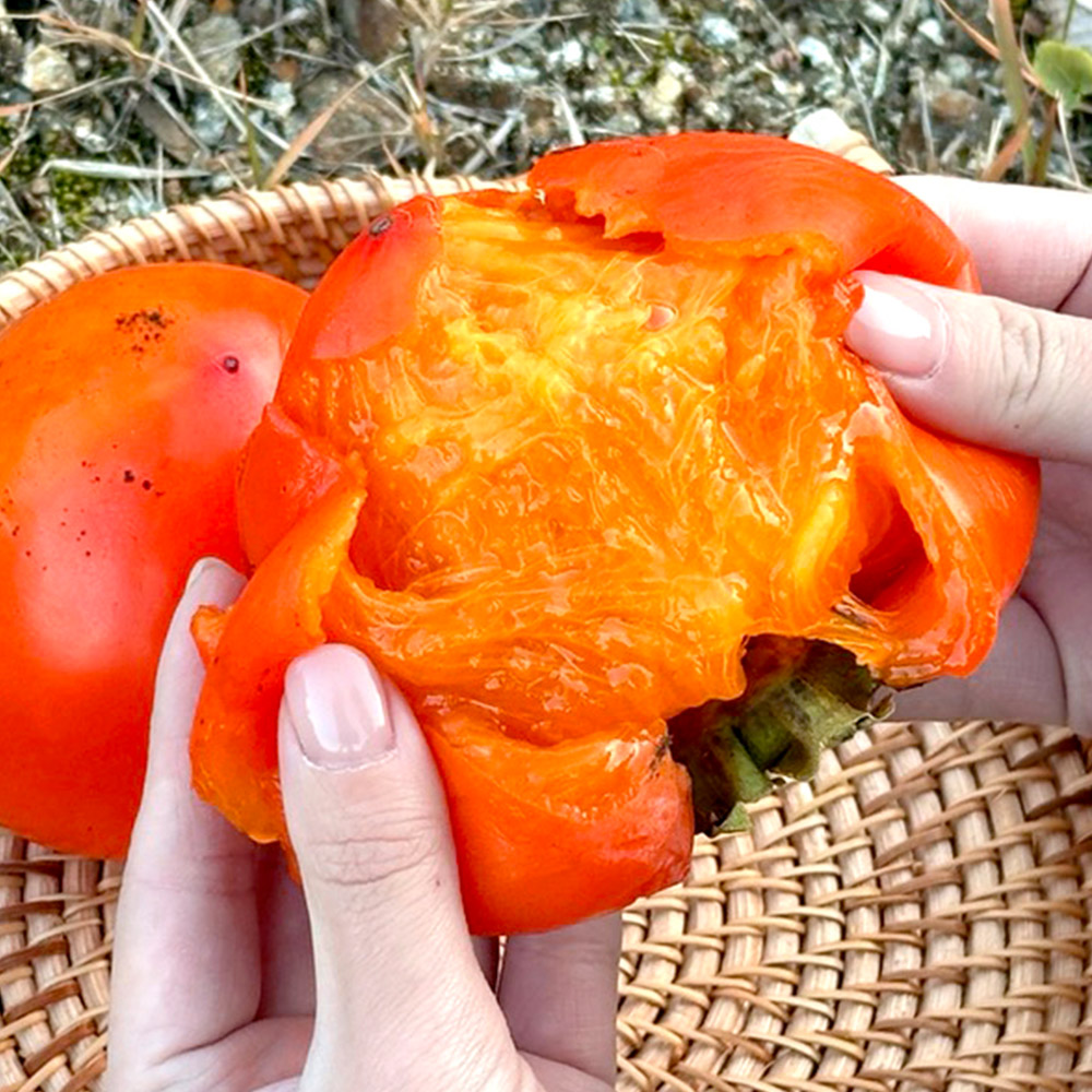 대봉감 홍시용 떫은감 2kg 4.5kg 이미지 8