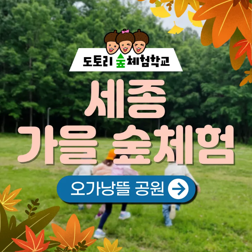 세종 오가낭뜰공원 가을 숲체험 원데이 에코힐링 by 도토리 숲체험학교 - 메인 이미지