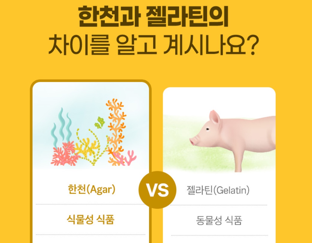 점도가 높은 한천가루 한천 한천분말 200g 5개 - 상세 이미지 5