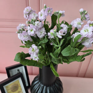 유스풀몰 스톡 2송이 스토크 생화 꽃배달싼곳 꽃 솔직 후기 | 실사용자 리뷰 분석 - 상품 이미지 2