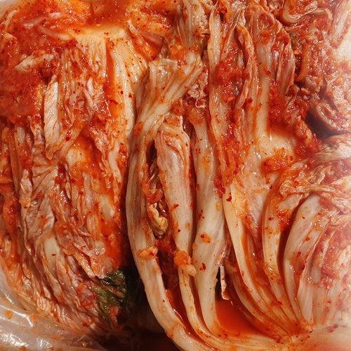 마을식품 맛있는 숙성 포기 배추김치 업소용 익은 묵은 신 찌게용김치10kg 국내제조 - 상세 이미지 3