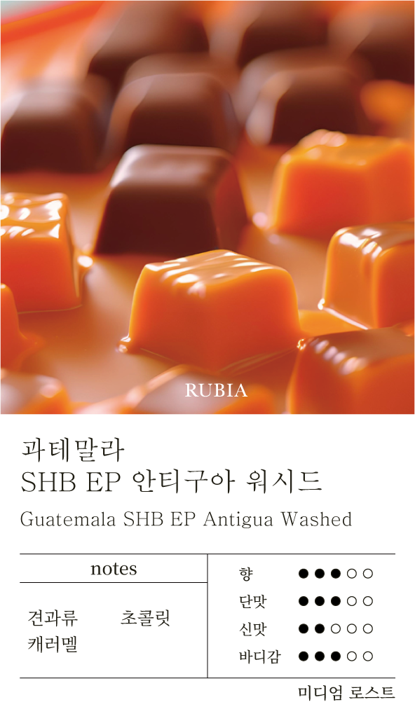 과테말라 커피 안티구아 커피 SHB EP 워시드 커피 미디엄 로스트 커피