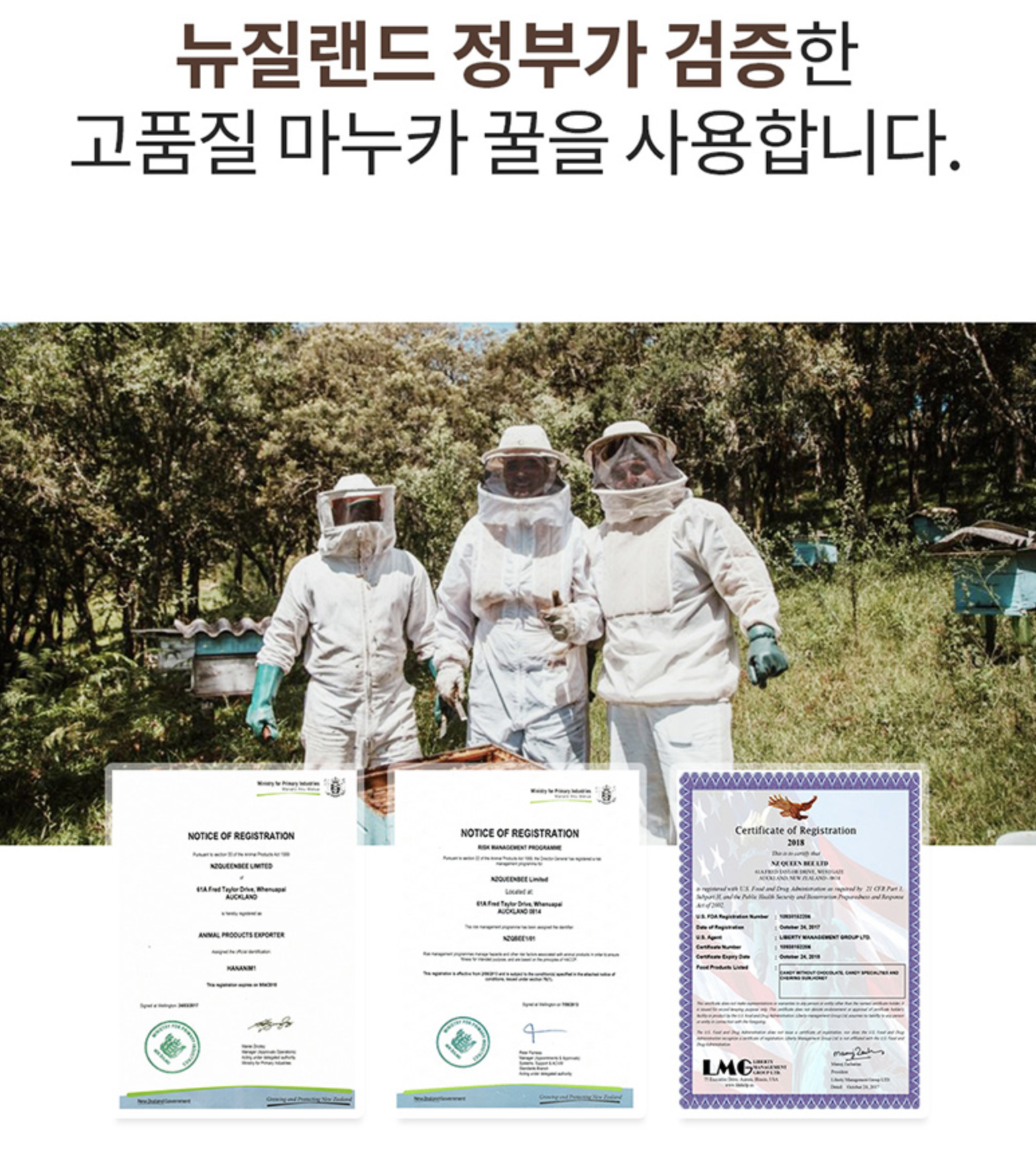 뉴질랜드 마누카 스틱 꿀 선물세트 자연산 벌꿀 효능 - 상세 이미지 5