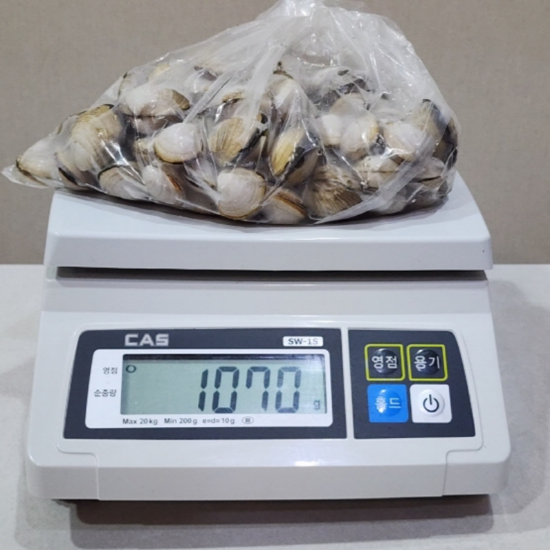 자연가득 동죽 호박칼국수세트 냉동 동죽 1kg + 칼국수면 230g - 상세 이미지 4