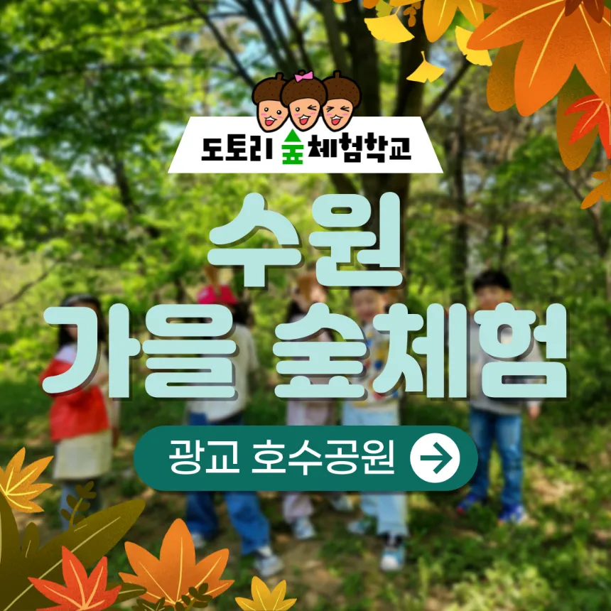 광교호수공원 가을 숲체험 원데이 에코힐링 by 도토리 숲체험학교 - 메인 이미지