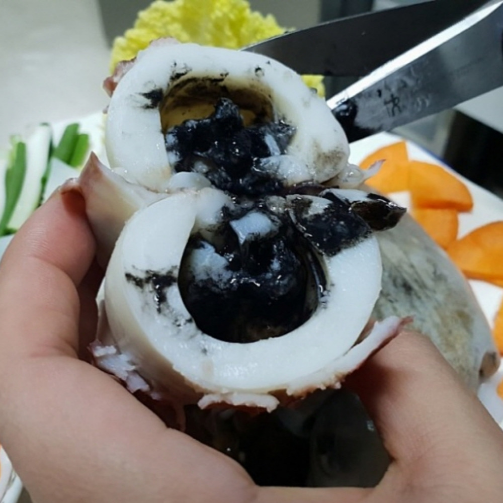갑오징어 1kg 생물 당일바리 국내산 이미지 7