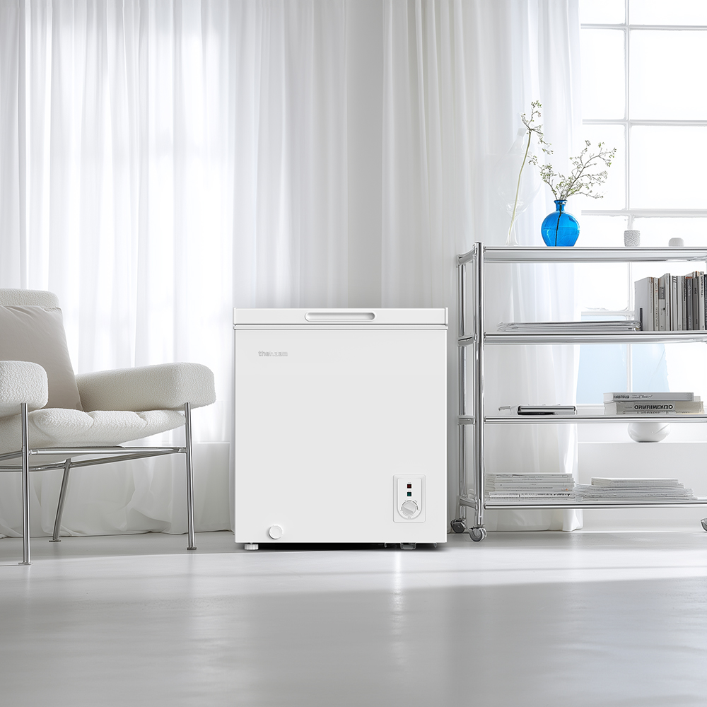 더함 소형 미니 냉동고 스탠드 뚜껑형 냉동고 화이트 66L