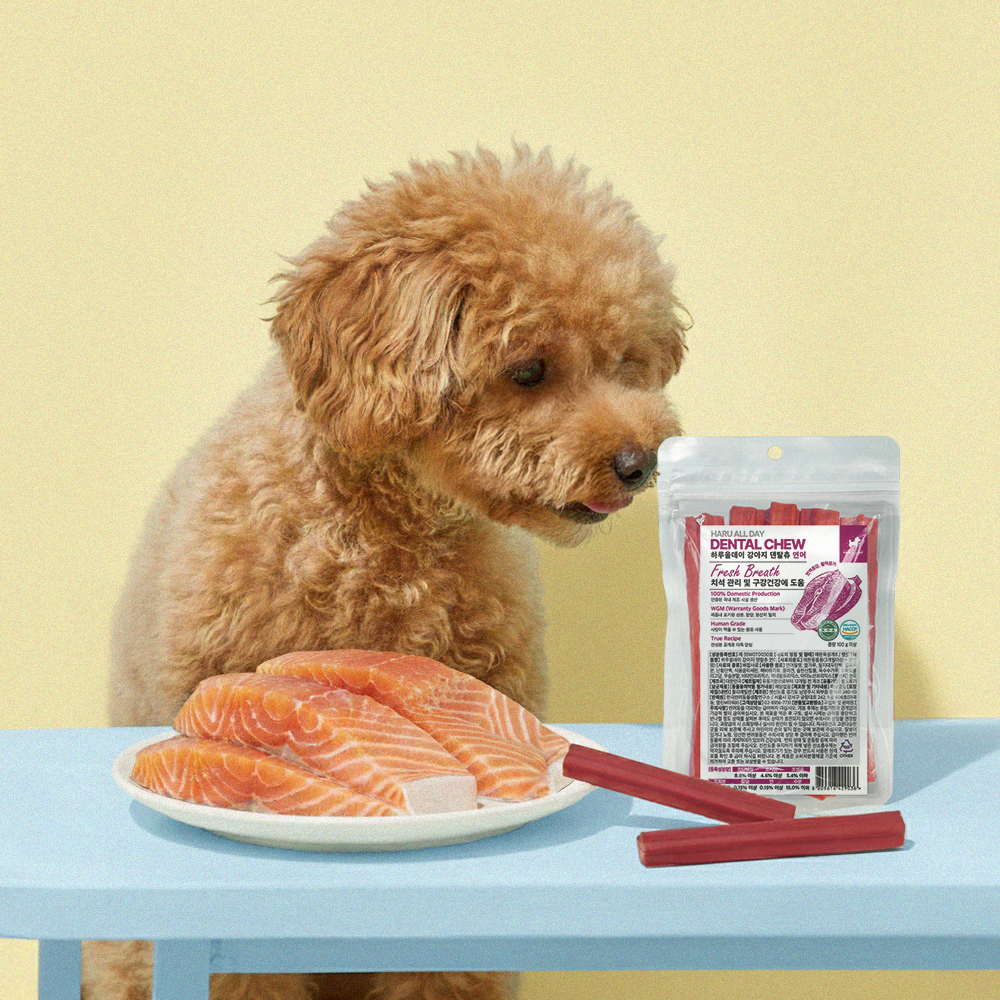 3+1 하루올데이 강아지 덴탈츄 반려견 양치 치석 입냄새 제거 덴탈 껌 치태 연어, 100g, 4개 - 상세 이미지 2