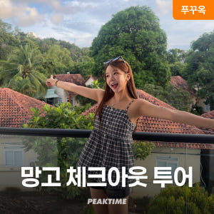 푸꾸옥 체크아웃투어 마사지 망고스테이 픽업샌딩 포함 전항공편 가능 솔직 후기 | 실사용자 리뷰 분석 - 상품 이미지 1