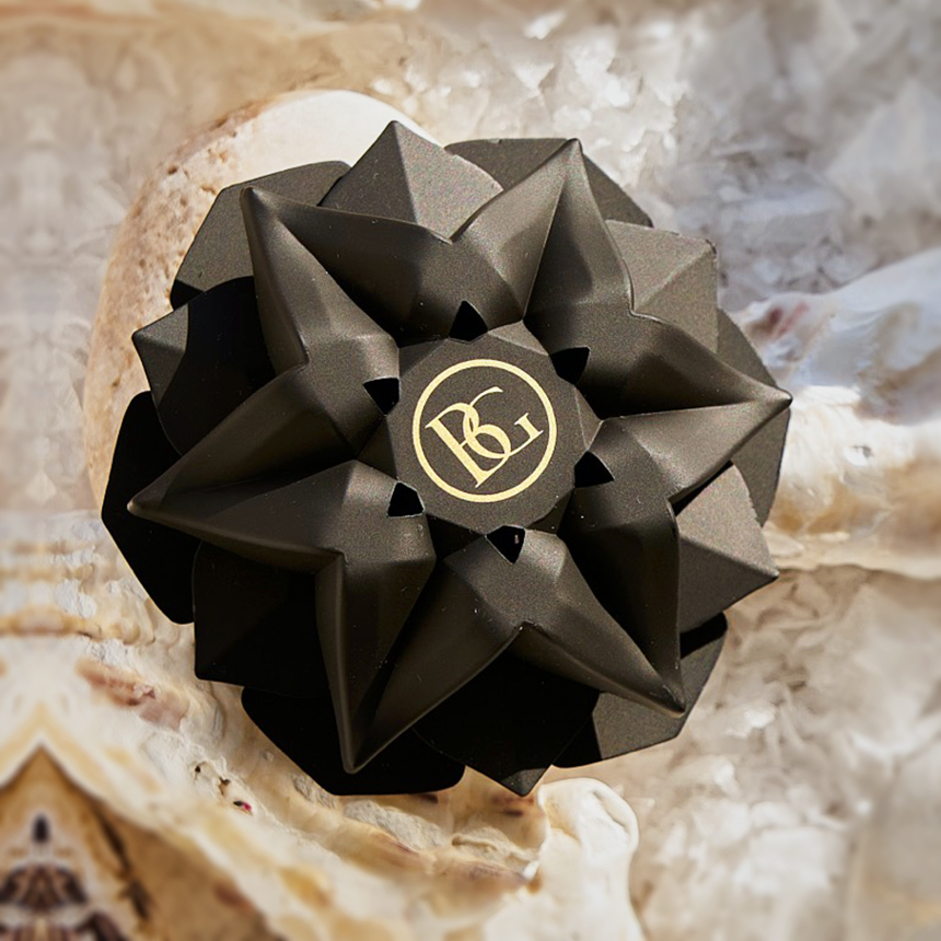 바흐가르트 차량용 방향제 명품 백화점 BMW 벤츠 제네시스 그라파이트블랙 레인포레스트