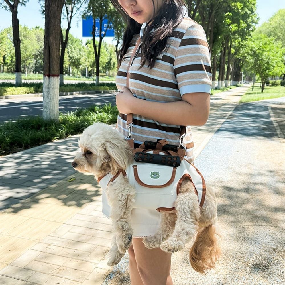 반려동물 이동가방 산책 가슴줄 강아지 숄더백 애견 하네스 줄 캐리어 2컬러 - 상세 이미지 3