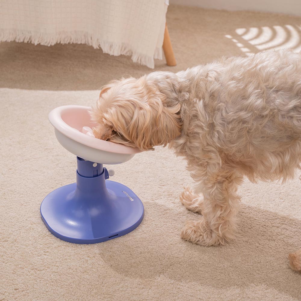 강아지밥그릇 높이조절 급체방지 애견 식기 도자기 슬로우식기 식탁 화이트