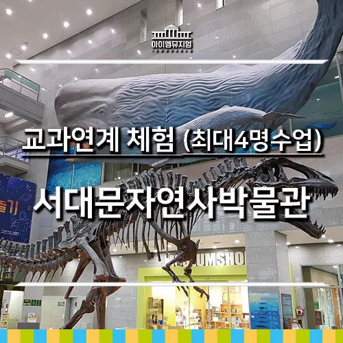 교과연계 체험 | 서대문자연사박물관 | 최대 4명 수업 by 아이엠뮤지엄 가격 추이 아이고고 교과연계 체험 | 서대문자연사박물관 | 최대 4명 수업 by 아이엠뮤지엄 - 최저가 40,000원