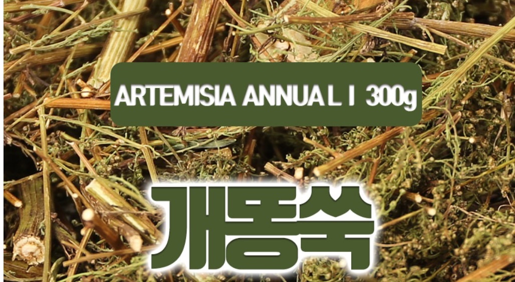 개똥쑥 300g - 상세 이미지 2
