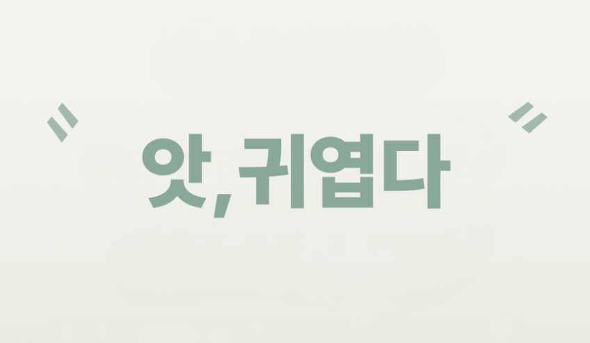 노트북파우치 그램 삼성 맥북 노트북가방 케이스 파우치 S 판매처 상세 정보 이미지 4