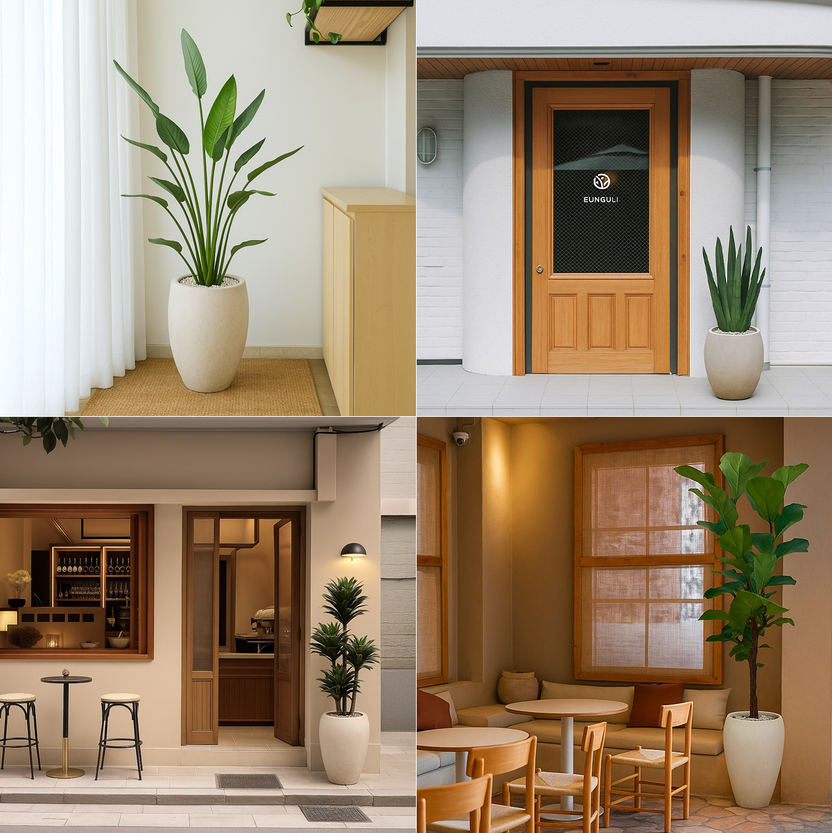 남천나무 관엽 프리미엄화분 반려식물 개업축하 집들이선물 공기정화 거실인테리어 카페 사무실