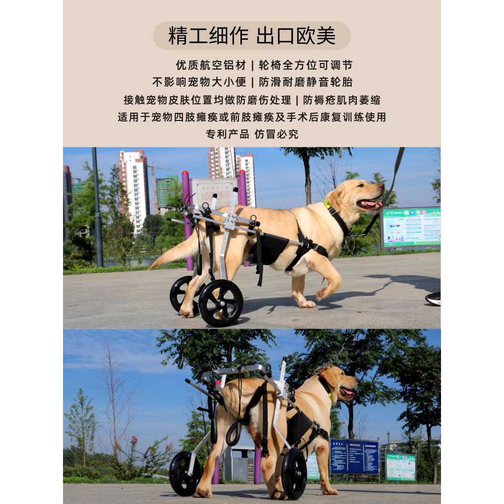 대형견 휠체어 후지지 장애견 보조 보행 보조기 재활 L - 상세 이미지 2