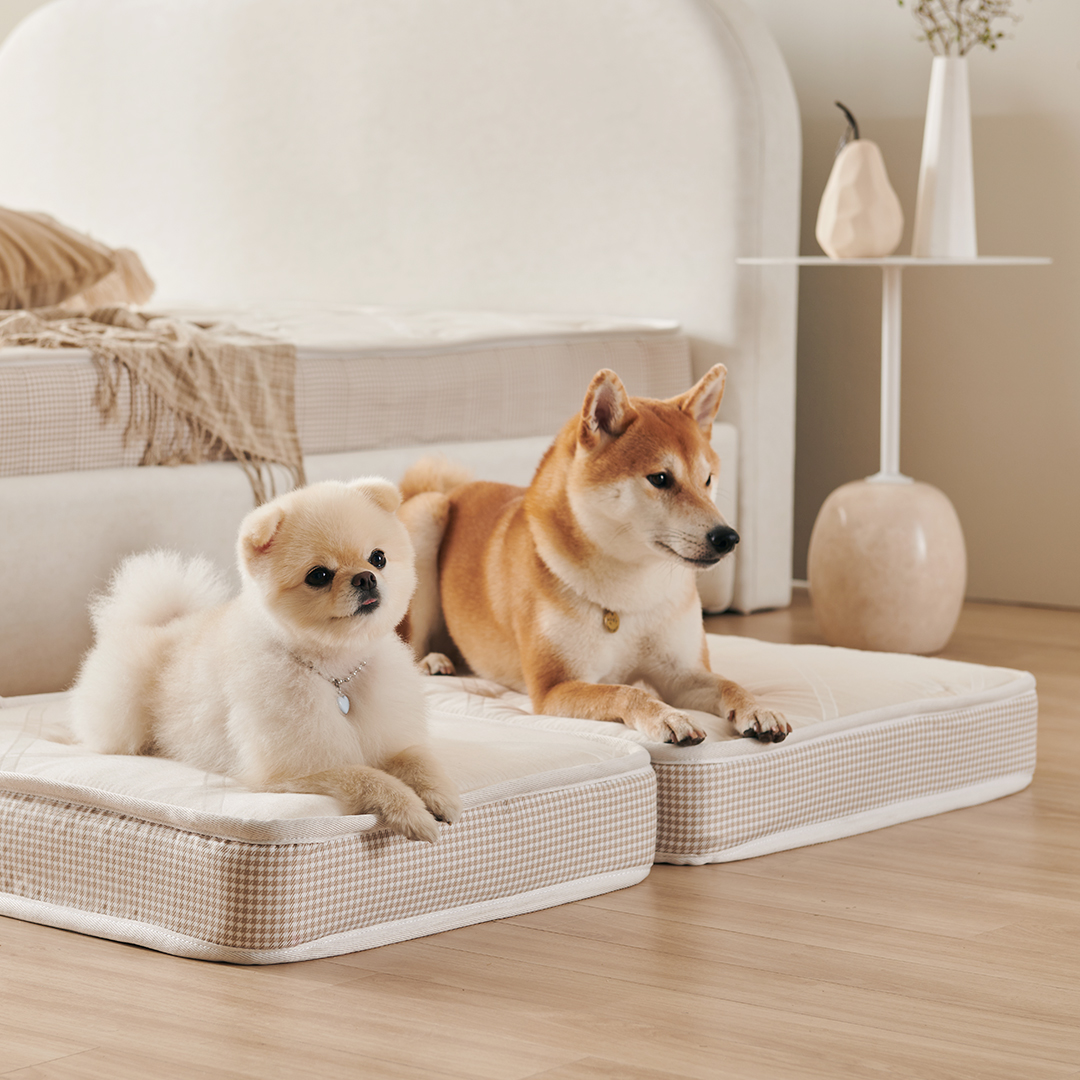 (방수커버 포함) 꽁떼떼 강아지 침대 매트리스 쿠션 강아지집 미니포켓 S사이즈