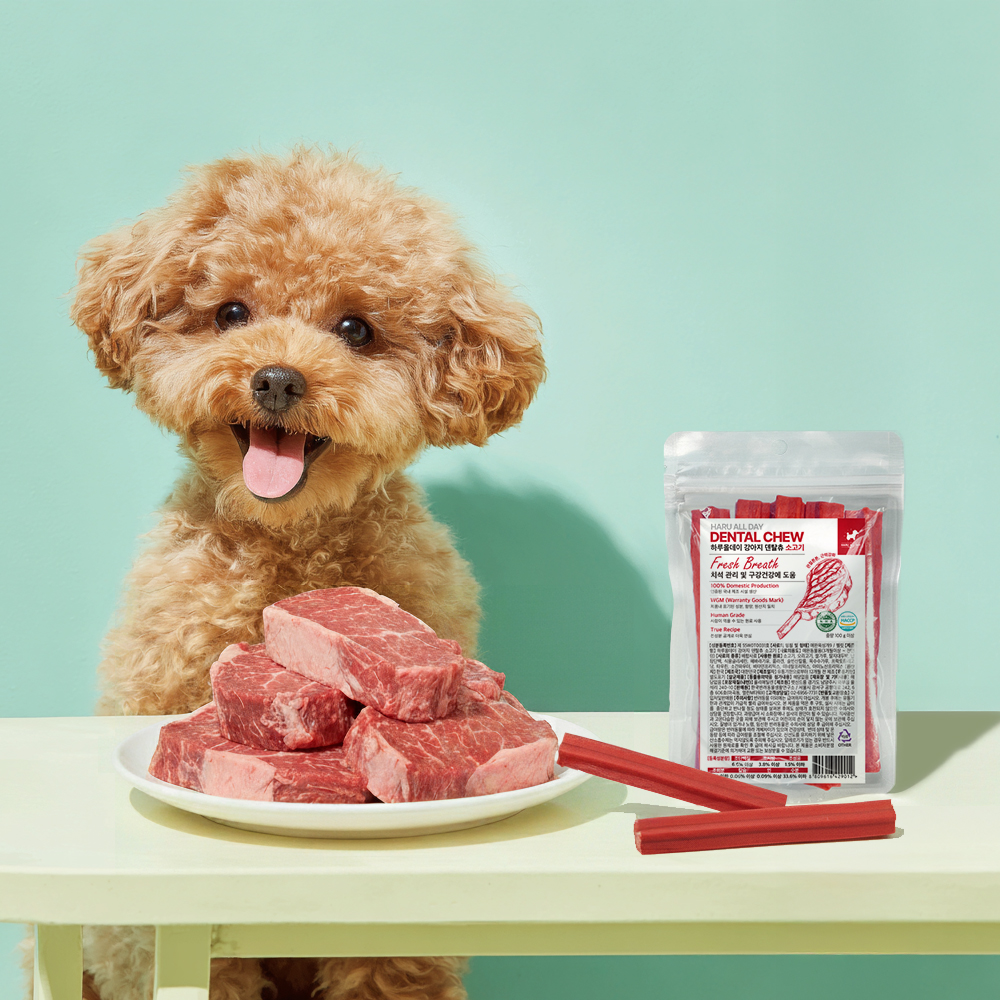 3+1 하루올데이 강아지 덴탈츄 반려견 양치 치석 입냄새 제거 덴탈 껌 치태 소고기, 100g, 4개 - 상세 이미지 2