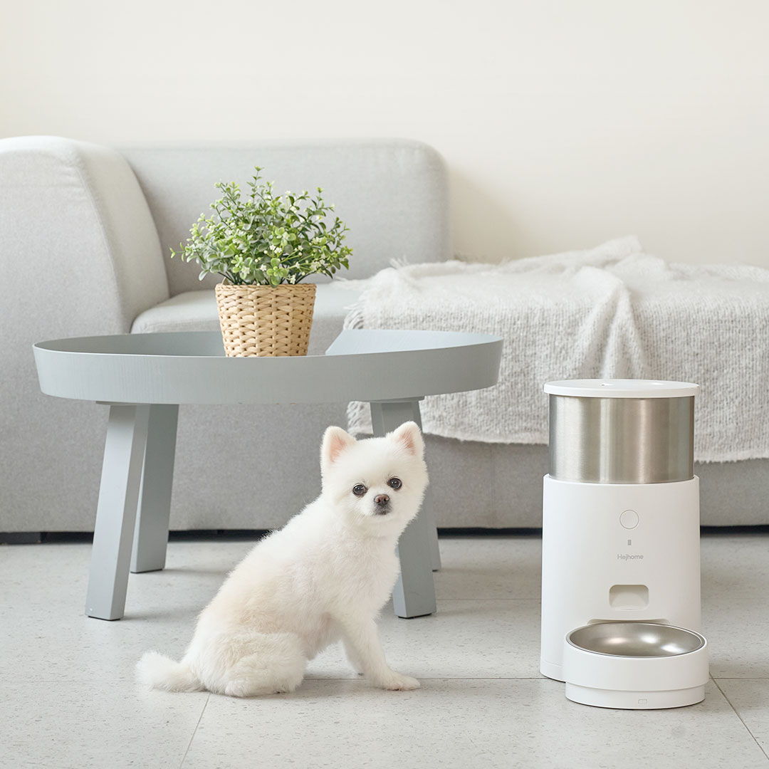 헤이홈 스마트 펫 자동급식기 Care 강아지 고양이 펫급식기 사료급여기 음성