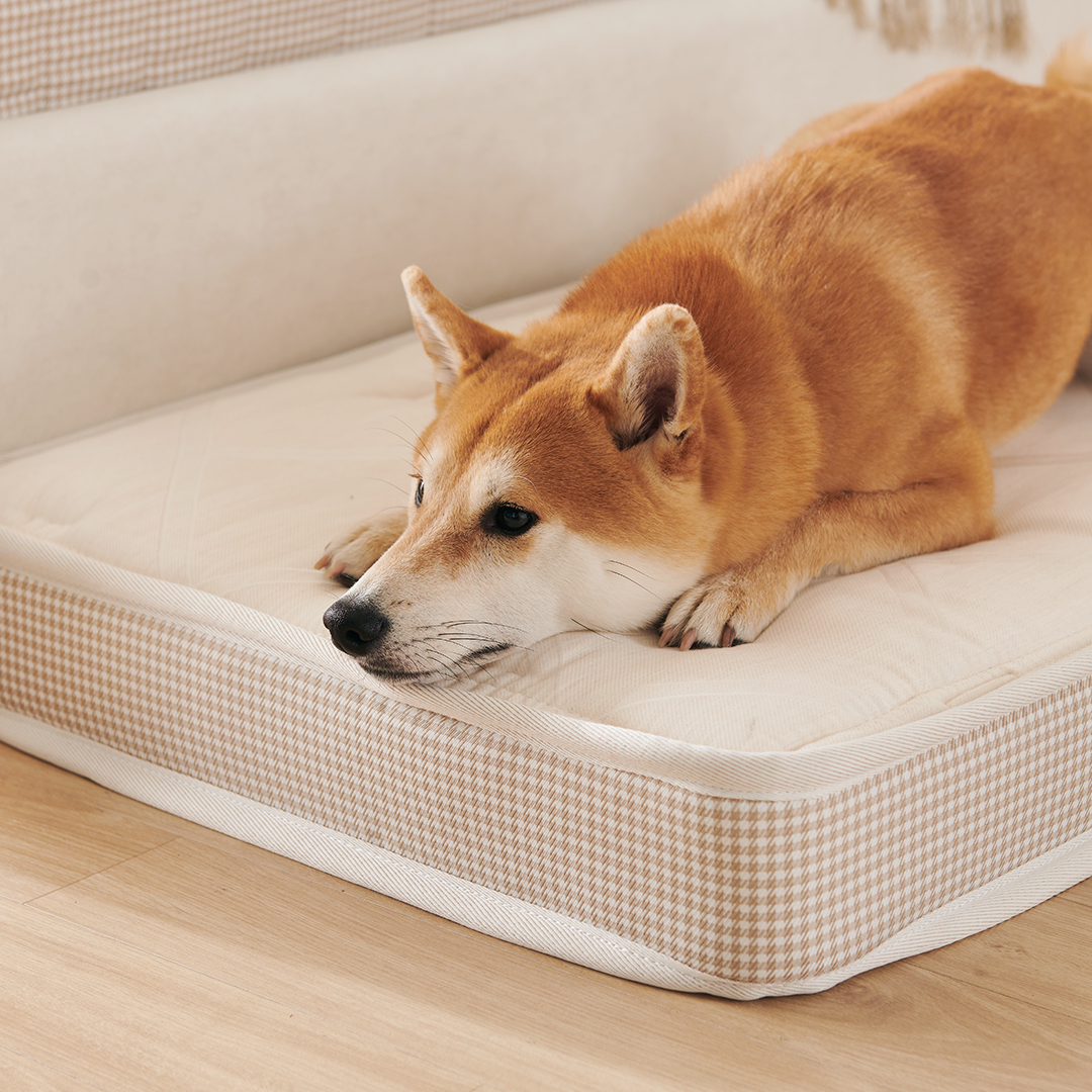 (방수커버 포함) 꽁떼떼 강아지 침대 매트리스 쿠션 강아지집 미니포켓 S사이즈