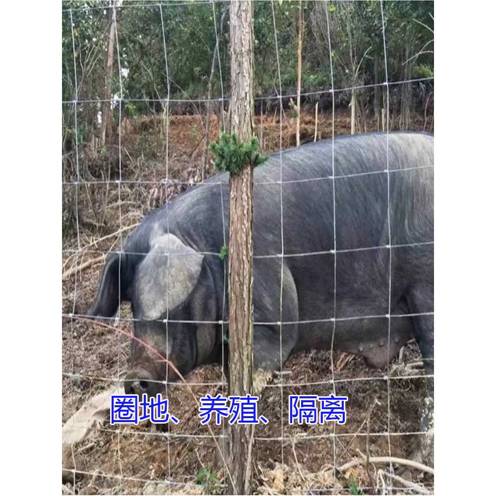 아연 철망 그물망 펜스 안전망 노루망 메쉬 야생동물 - 상세 이미지 4