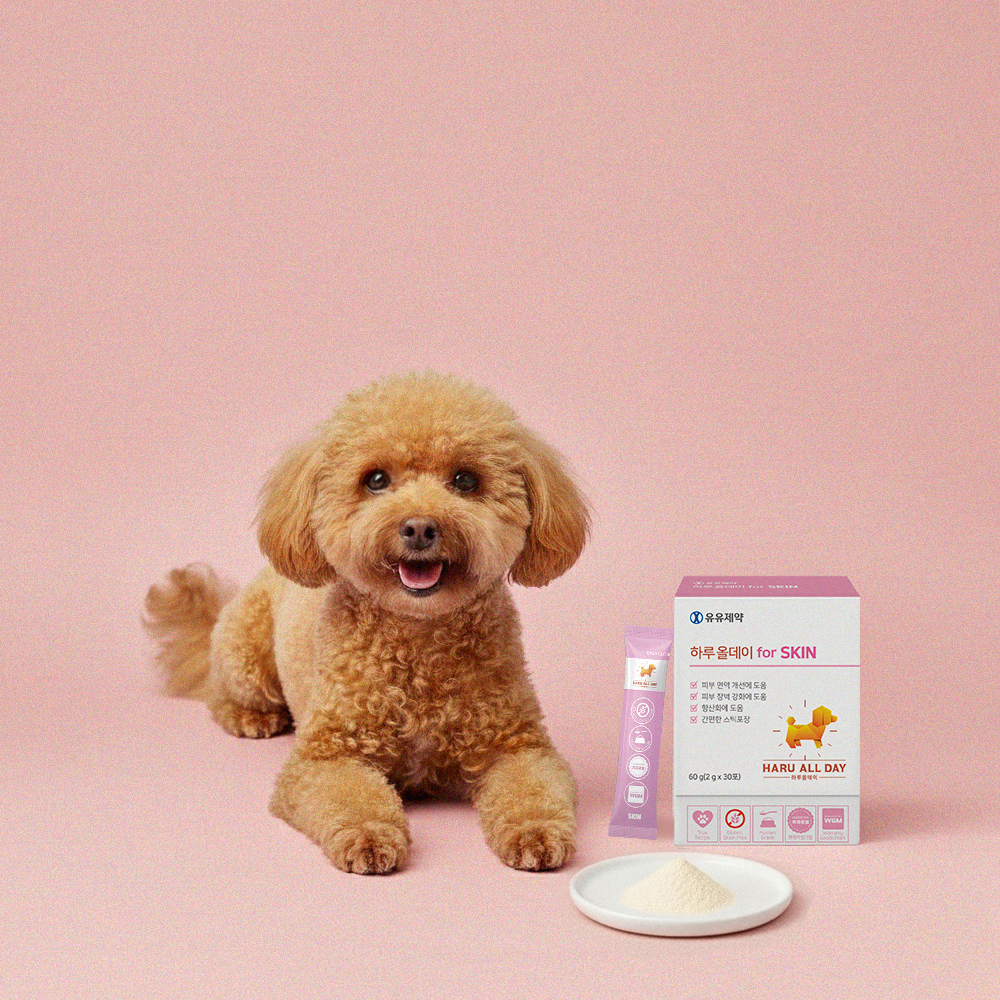 유유제약 하루올데이 강아지 피부 반려견 영양제 습진 모질 카제로템