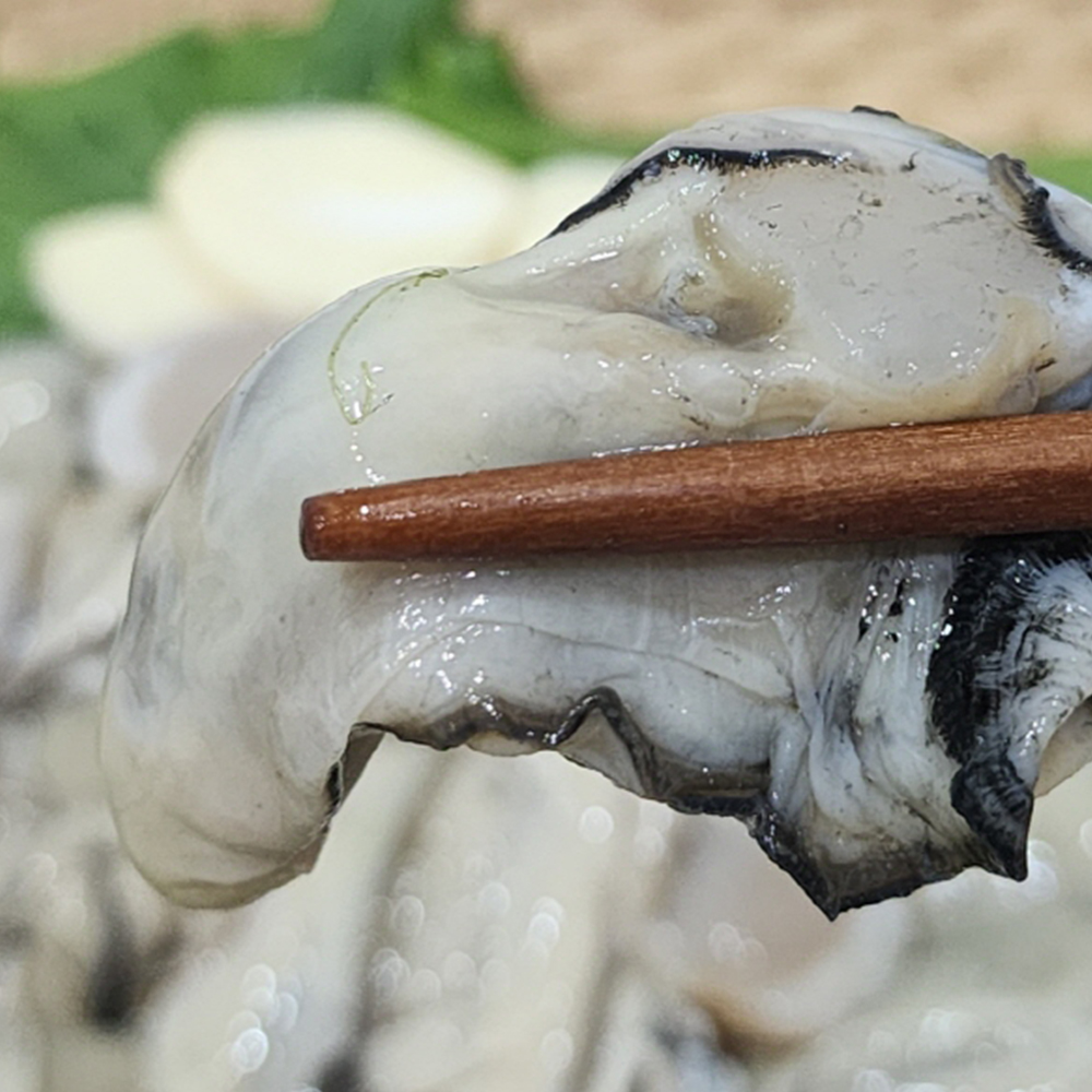 국내산 통영 햇생굴 횟감가능 1kg 당일조업 신선배송 파더그로브 - 상세 이미지 2