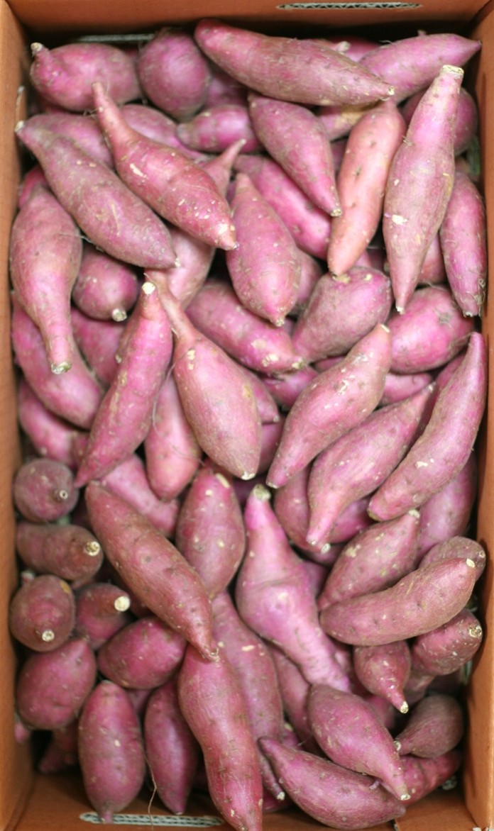 못난이 도매가 알뜰 고구마 10kg 이미지 7