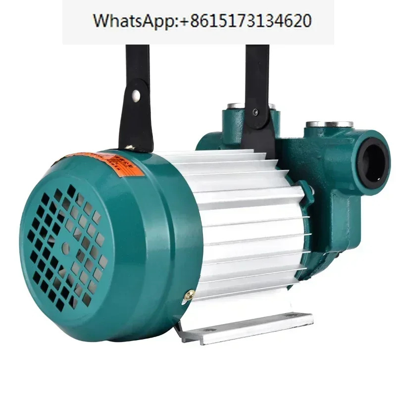 고전력 오일 펌프 12V24V220V 볼트