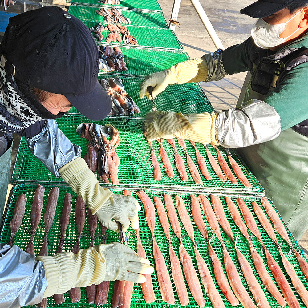 과메기 손질 상태 사진