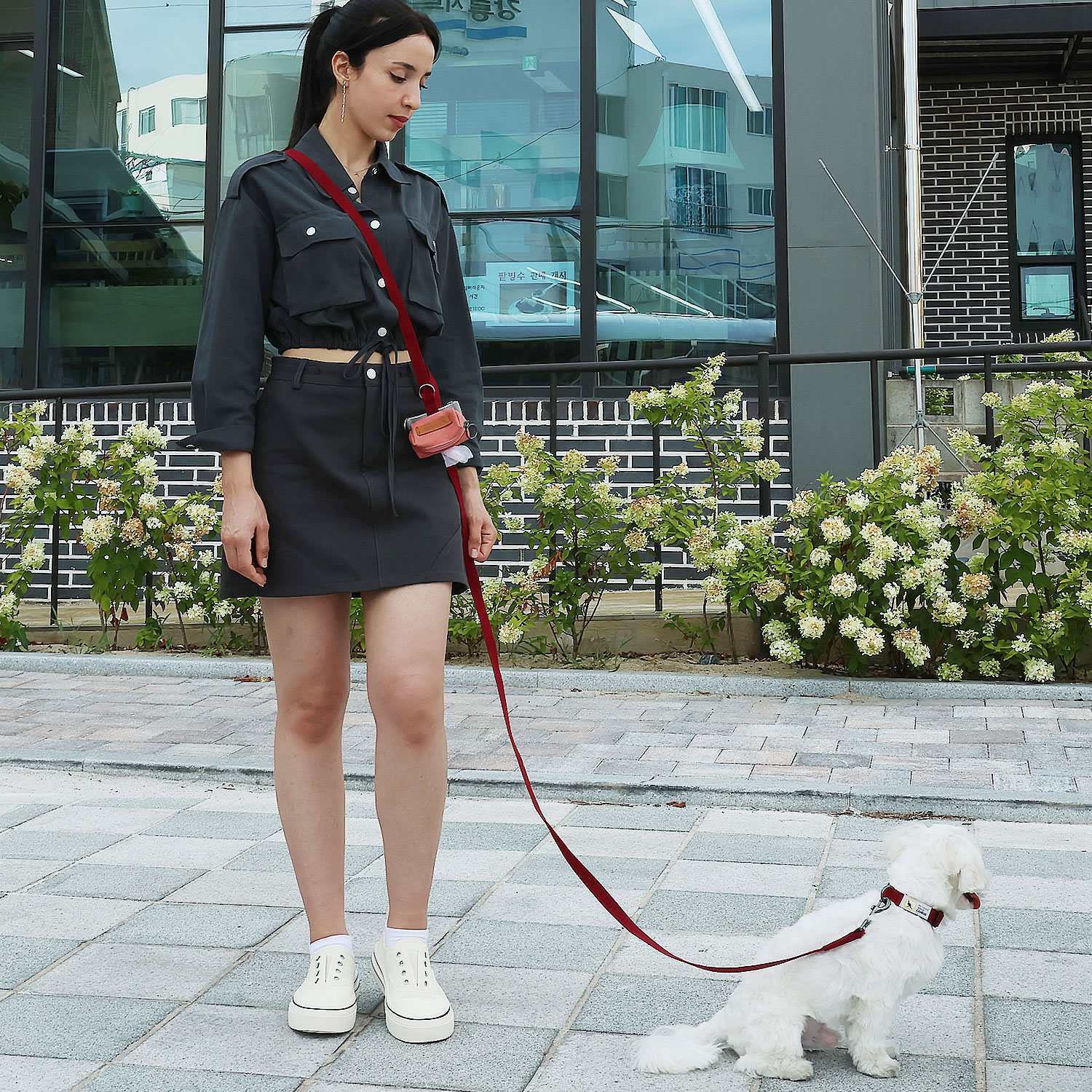 캔루 핸즈프리 베이직 리드줄 강아지 길이조절 최대 2.5M 소형견 중형견 - 상품 이미지
