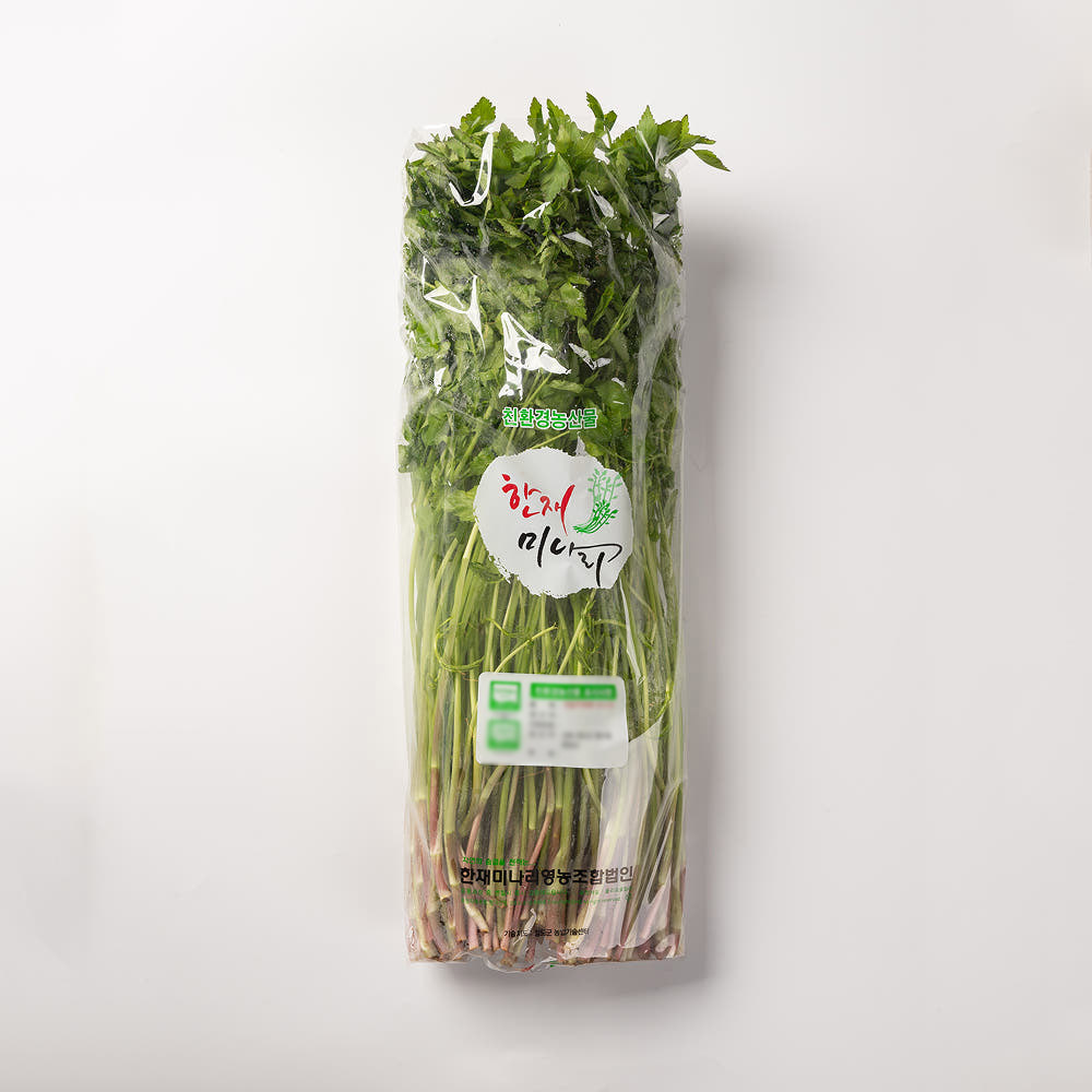 청도 미나리 500g - 상품 이미지
