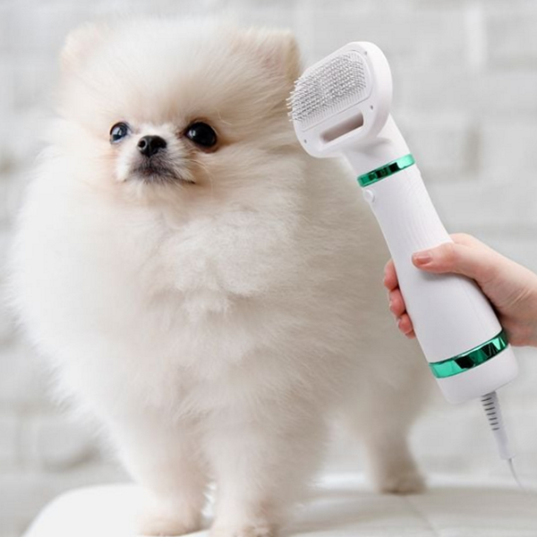 저소음 펫 드라이어 자동 강아지 드라이기 반려동물 건조 애견 목욕