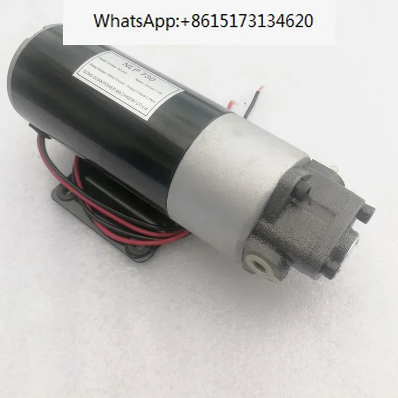 DC 12V/24V AC 220V 펌프 전기 유압 소형 마이크로 기어 오일러