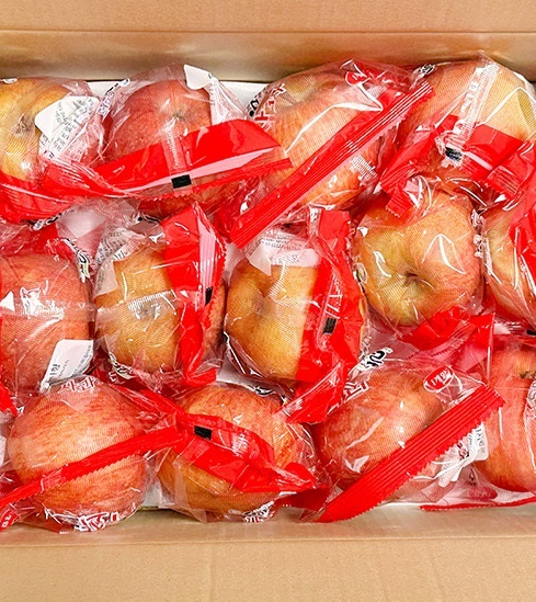 부사 소과 씻어나온 봉지사과 12.9Brix, 2kg, 1개 - 상세 이미지 5