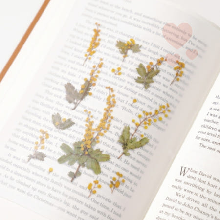 미모사 스티커 예단편지 압화꾸미기 환갑편지 압화스티커 편지지꾸미기