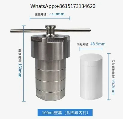 PTFE 챔버 열수 합성이 포함된 오토클레이브 반응기 100ml ne