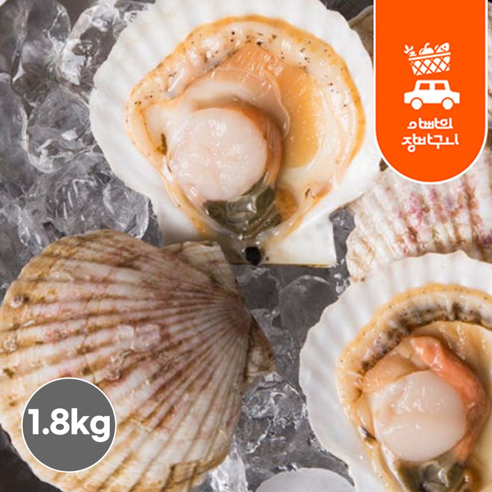 냉동 가리비 1.8kg(180gx10팩) 반가리비 하프가리비 업소용 대용량 벌크 - 상품 이미지