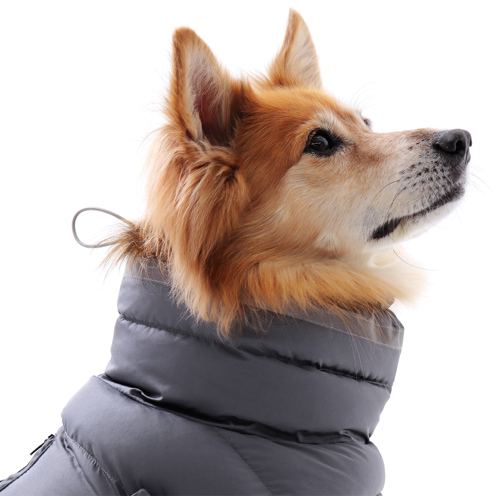 강아지패딩 소형견 대형견 패딩 조끼 겨울옷 중형견 진돗개 리트리버 S