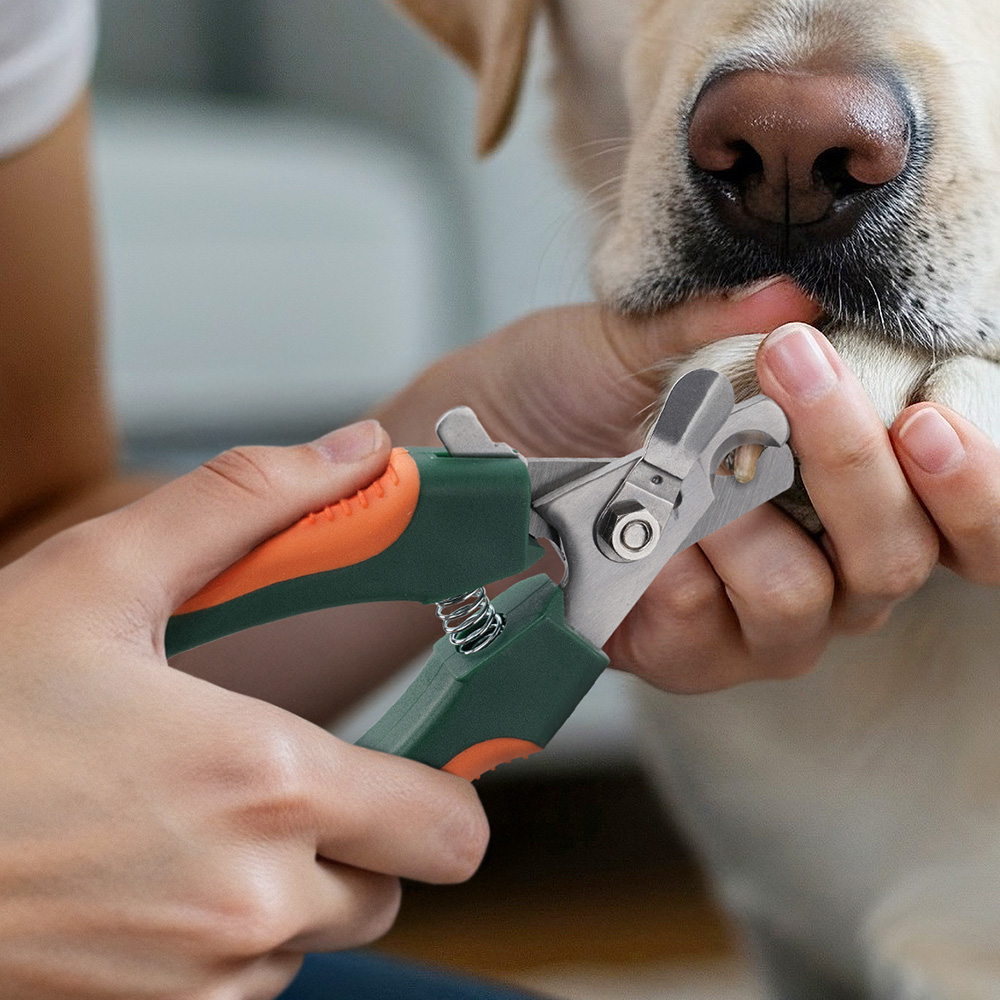 바비온 엑스퍼트펫 전문가용 발톱깎이 XL 강아지 고양이 대만제조 대형견 중형견