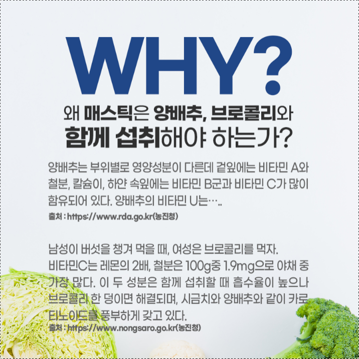 매스틱검 메스틱검 90정 2병 MASTICGUM - 상세 이미지 4