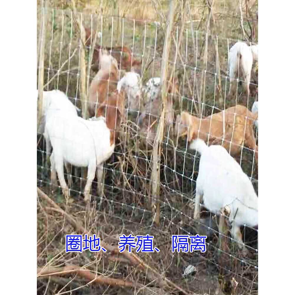 아연 철망 그물망 펜스 안전망 노루망 메쉬 야생동물 - 상세 이미지 5