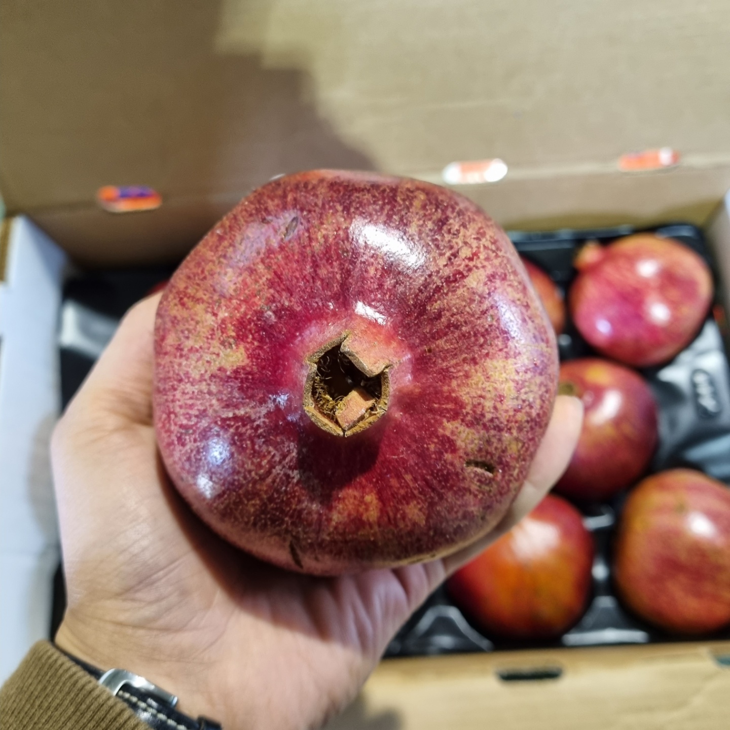 생 석류 생과 5kg, 1개 - 상세 이미지 4
