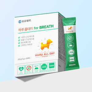 하루올데이 강아지 기관지 반려견 영양제 감기 협착증 카제로템 솔직 후기 | 실제 사용자 리뷰 총정리 - 상품 이미지 4