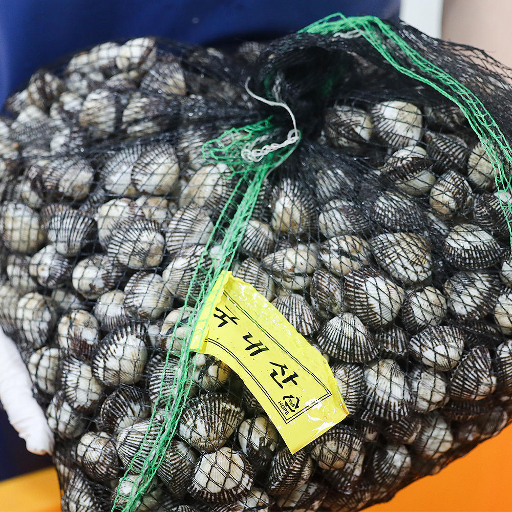제철 벌교 새꼬막 3kg 피꼬막 동죽 통통살 갯벌직송 파더그로브 이미지 7