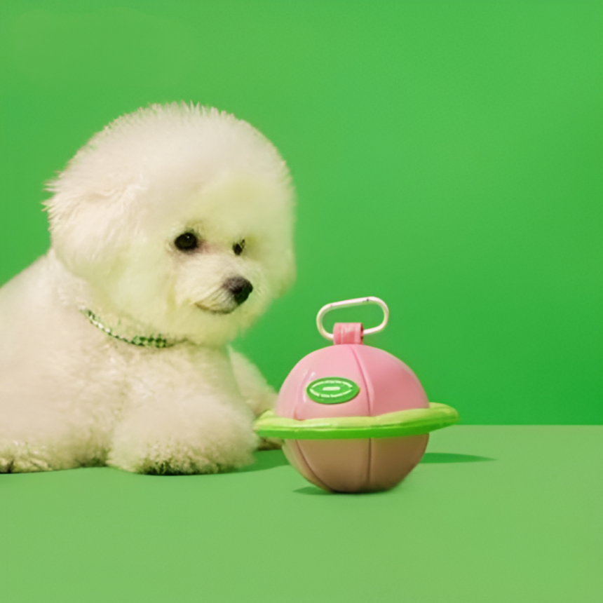 냐오오 강아지 풉백 파우치 배변봉투 세트 케이스 배변가방 똥주머니