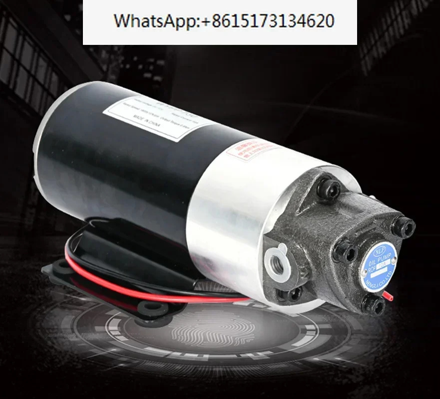 DC 12V/24V AC 220V 펌프 전기 유압 소형 마이크로 기어 오일러