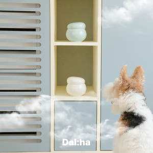 달하 [달항아리 유골함] 반려동물의 마지막 소풍 달항아리 유골함 강아지 ... 솔직 후기 | 실제 사용자 리뷰 총정리 - 상품 이미지 2